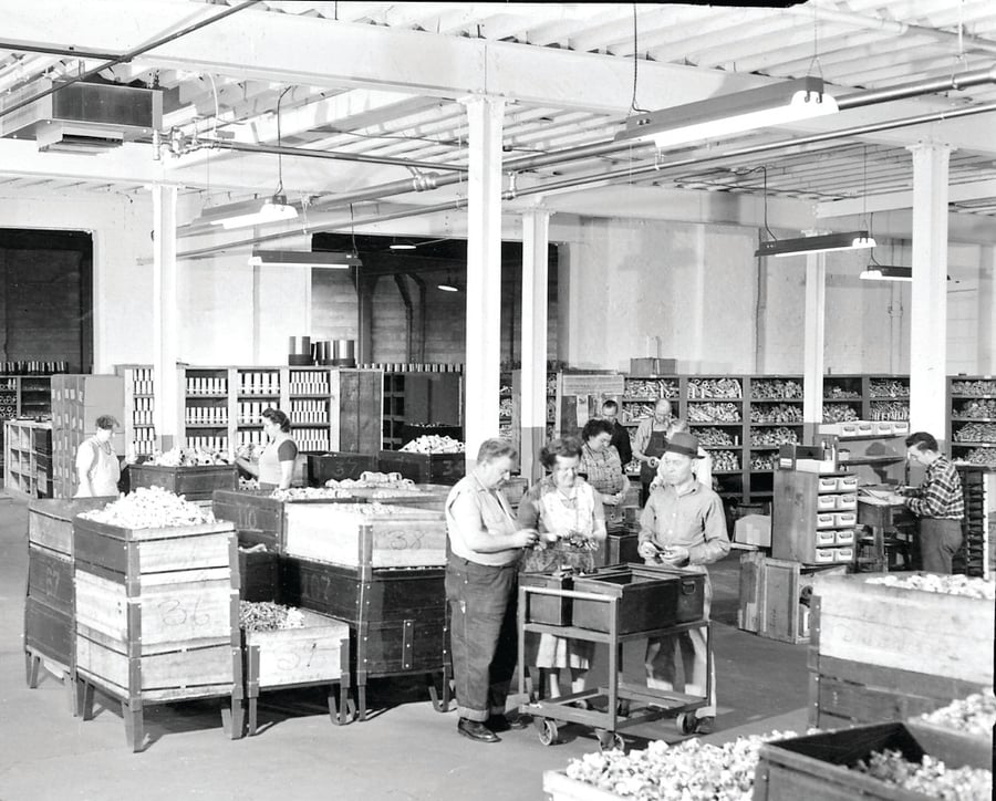 A Look Inside Dixon on Manufacturing Day